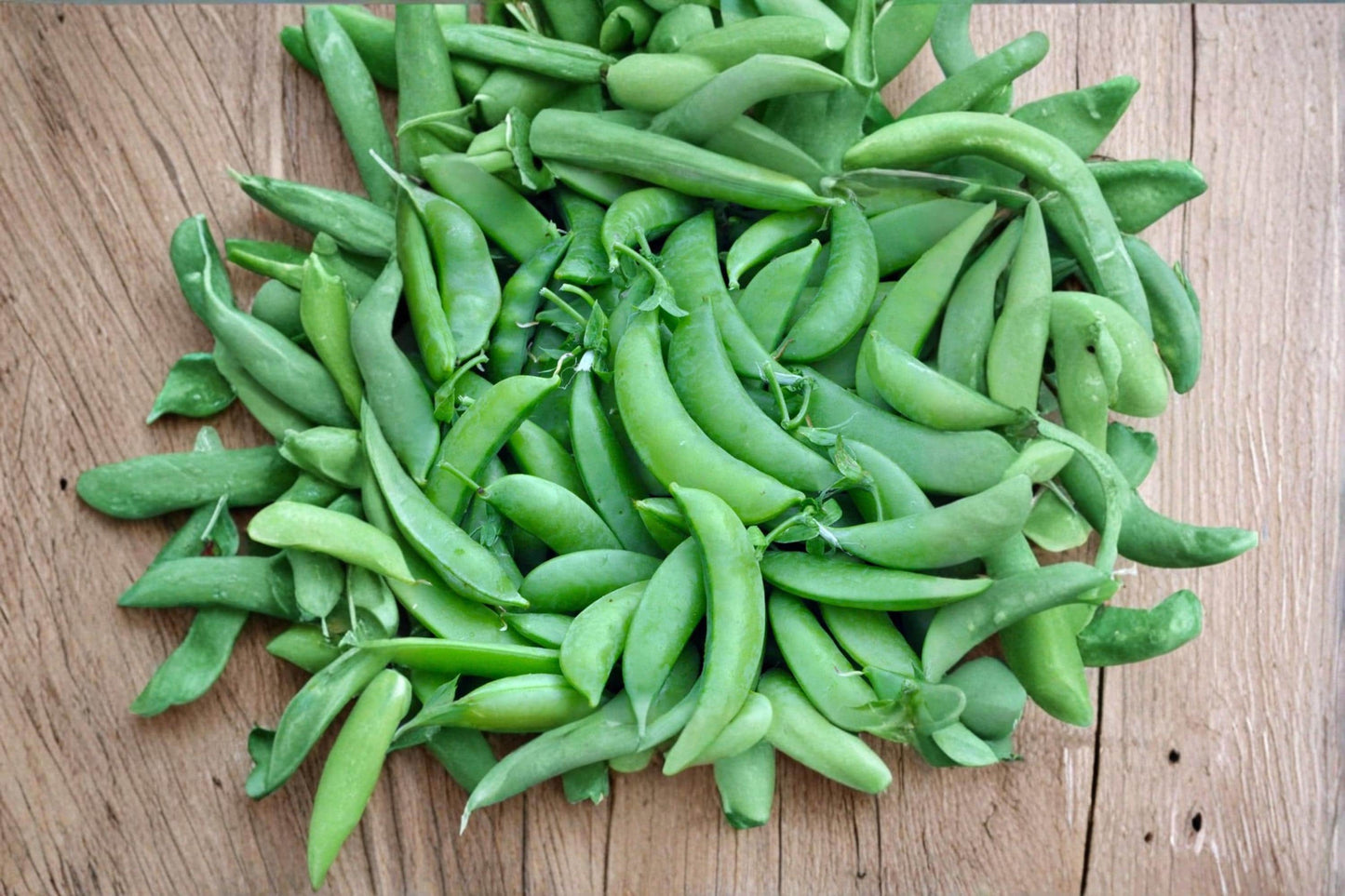Sugar Pod Snow Pea Seeds 50 Count | Pisum sativum Edible Garden Vegetable Seeds for Home Planting