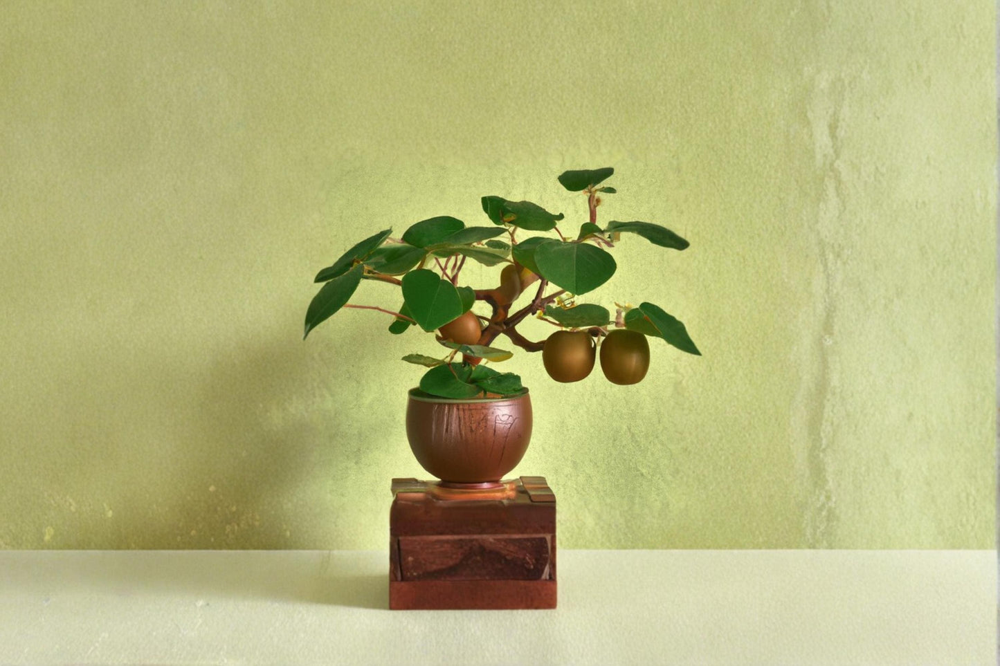 Kiwi Bonsai Seeds – Actinidia chinensis Fruit Vine for Gardening and Container Growing