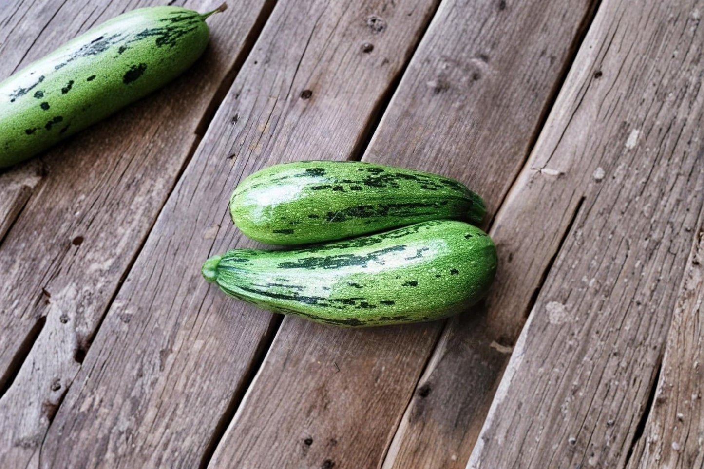 Caserta Squash Seeds – Cucurbita pepo Summer Vegetable Plant for Garden, Container, and Raised Bed Growing