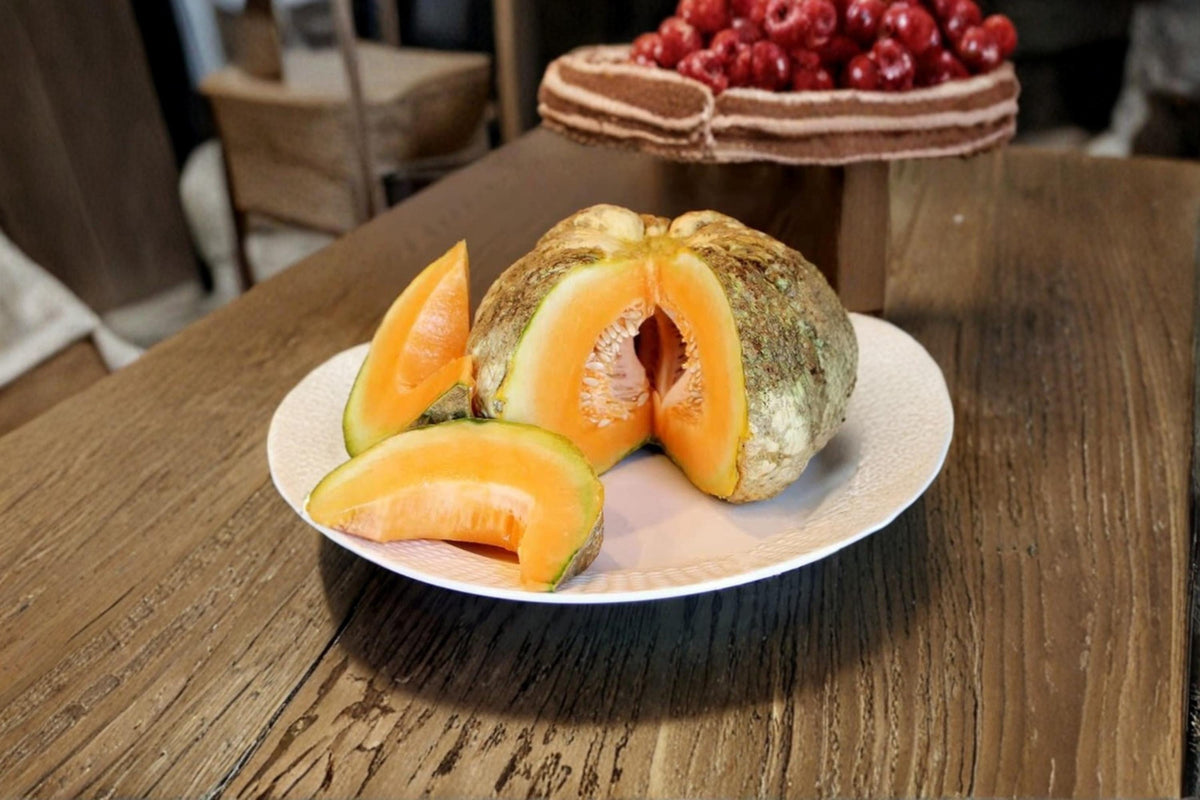 Prescott Fond Blanc Melon Seeds – Rare Heirloom Pumpkin-Shaped Cucumis melo for Garden Planting