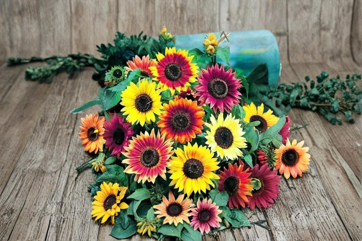 Sunflower Seeds for Planting 50 Pack | Helianthus annuus | Easy Grow Mixed Garden Flowers