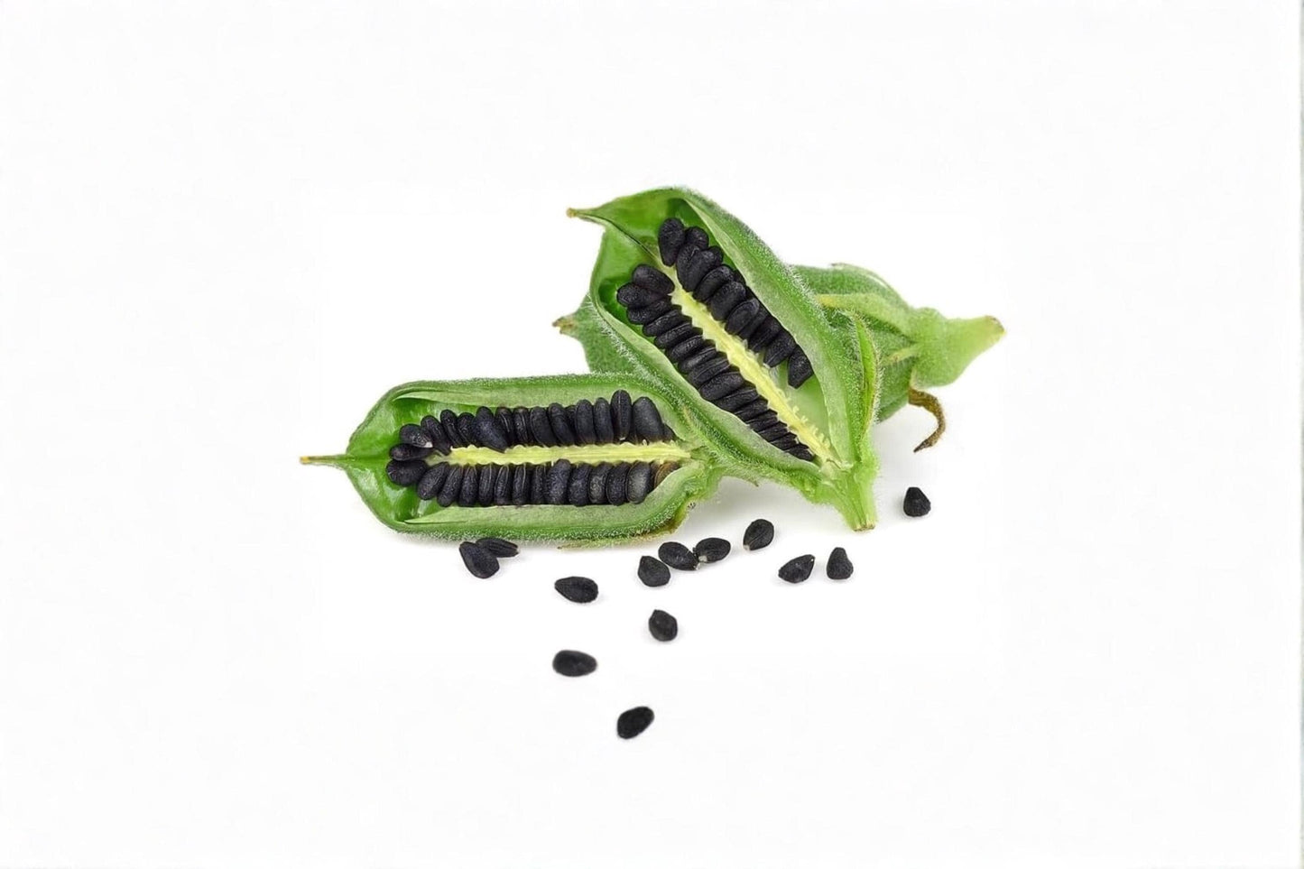 Black Sesame Seeds for Planting – 500 Seeds, Kurogoma Sesame, Annual Herb, Black Seeds, Garden Seeds, Sesamum indicum