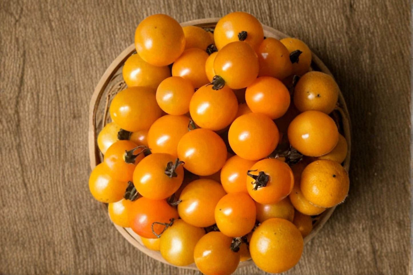 Sun Sugar Cherry Tomato Seeds – Bright Yellow Cherry Tomato, Solanum lycopersicum, 10 Seeds for Garden, Container & Raised Bed Planting