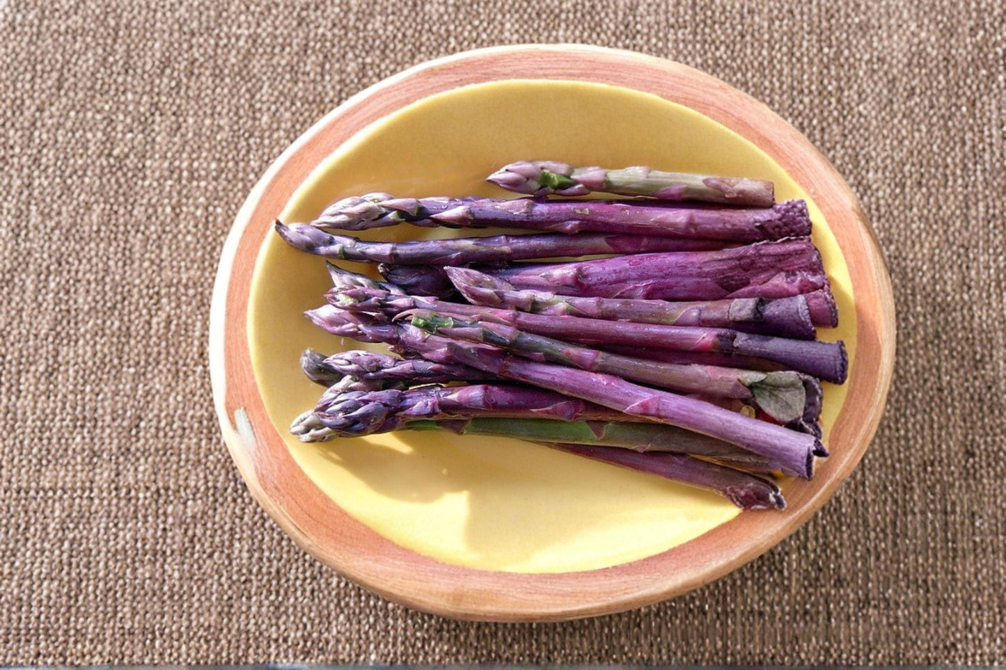 Purple Passion Asparagus Bare Root Crowns – Perennial Vegetable Plants, Edible Purple Spears, Asparagus officinalis, Full Sun, Garden Bed