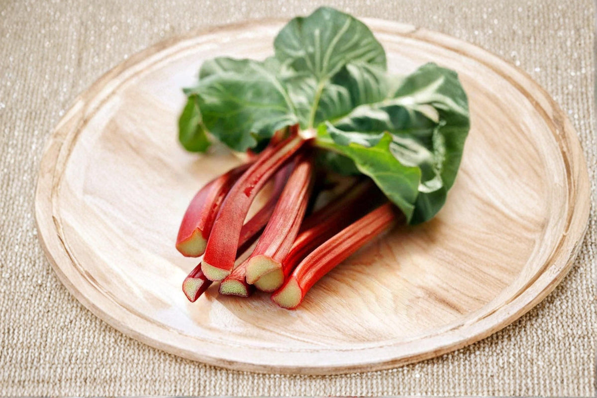Victoria Red Rhubarb Seeds – 50 Perennial Vegetable Seeds for Garden, Rheum rhabarbarum, Red Stalks, Edible Plant