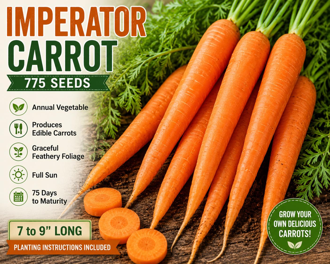 Imperator Carrot Seeds 775 Pack Daucus carota Vegetable Seeds for Full Sun Gardens, 7-9 Inch Roots