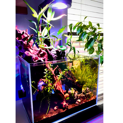 Pixel LED Bundles All Sizes