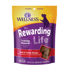 Wellness All Life Stages Rewarding Life Beef and Turkey Soft Dog Treats (6oz)