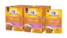 Wellness Adult Pouch Healthy Indulge Morsels Salmon and Tuna Wet Cat Food (3oz)