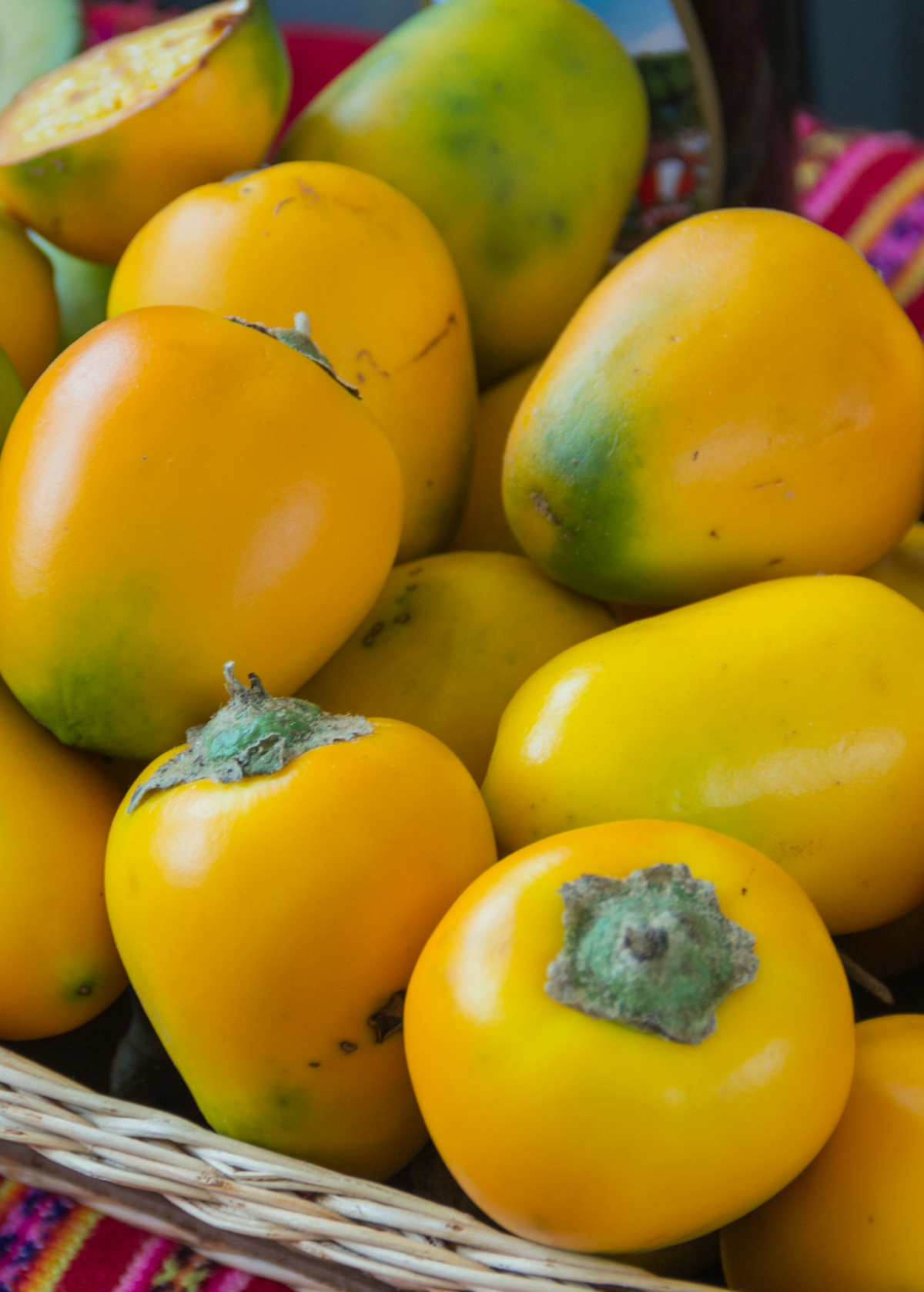 Cocona Plant - Tropical Fruiting Shrub with Thornless Foliage Solanum sessiliflorum