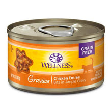 Wellness Complete Health Adult Gravies Chicken Entree Wet Cat Food (3oz)