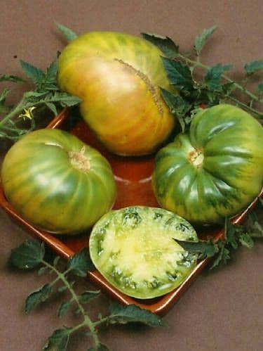 30 Aunt Ruby’s German Green Tomato Seeds – Solanum lycopersicum – Heir ...