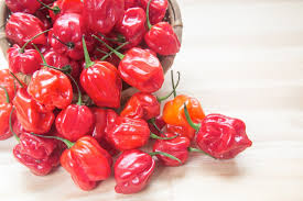 Habanero Pepper Seeds – Extra-Hot Chili, Heirloom, Non-GMO, Capsicum chinense, 100,000–350,000 Scoville