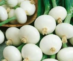 200 Seeds Crystal White Wax Onion Allium cepa Pearl Onion Variety for Pickling, Roasting & Garnishes