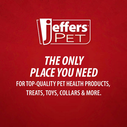 Jeffers Christmas Character Plush Orbs Squeaker Dog Toy