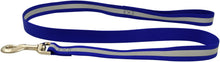 Jeffers Reflective Glow-in-the-Dark Safety Stripe Nylon Dog Leash, 1" W x 4' L