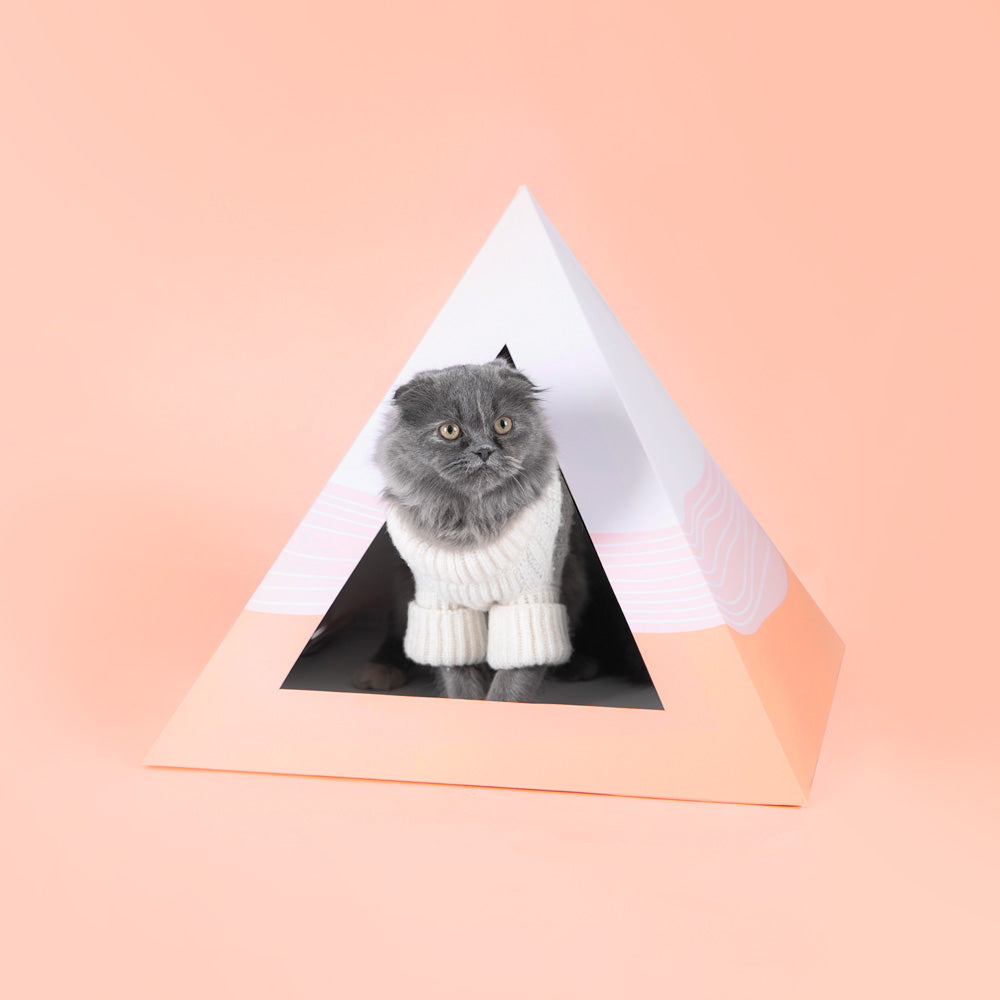 Wavey Cardboard Cat Pyramid