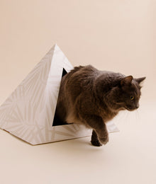 Neutral Palm Cardboard Cat Pyramid