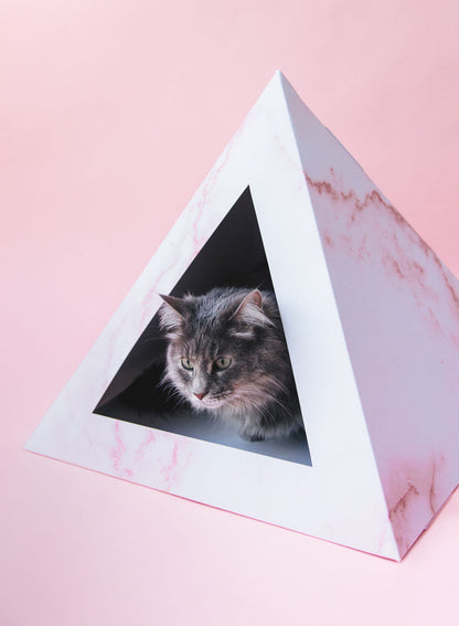 Rose Quartz Cardboard Cat Pyramid