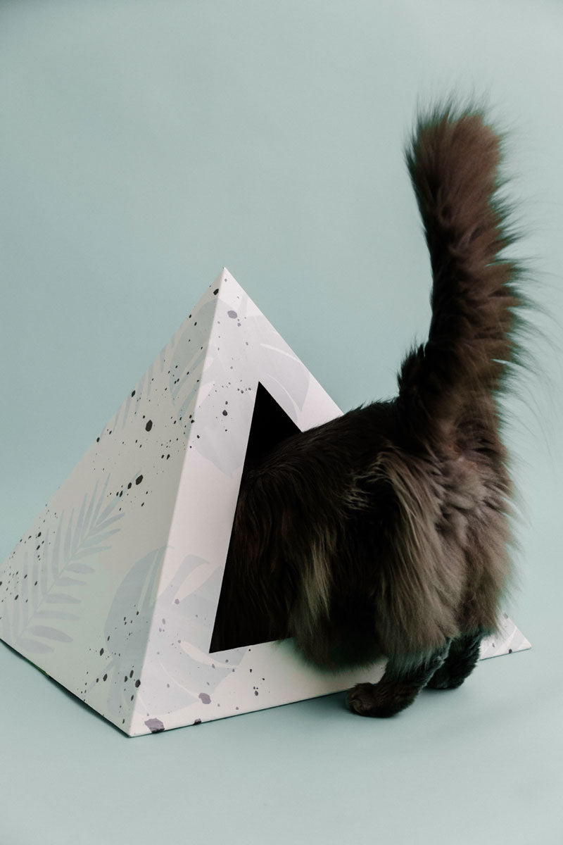 Oasis Cardboard Cat Pyramid