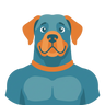 Large Breed Dog
