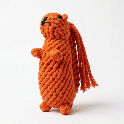 Oliver the Squirrel Rope Toy