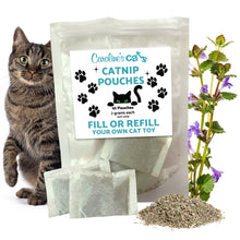 Caroline's Cats Organic Catnip Packets for Cat Toys – Refill Pouches for Flapping Bird, Flopping Fish, and More, 10 Tea Bags