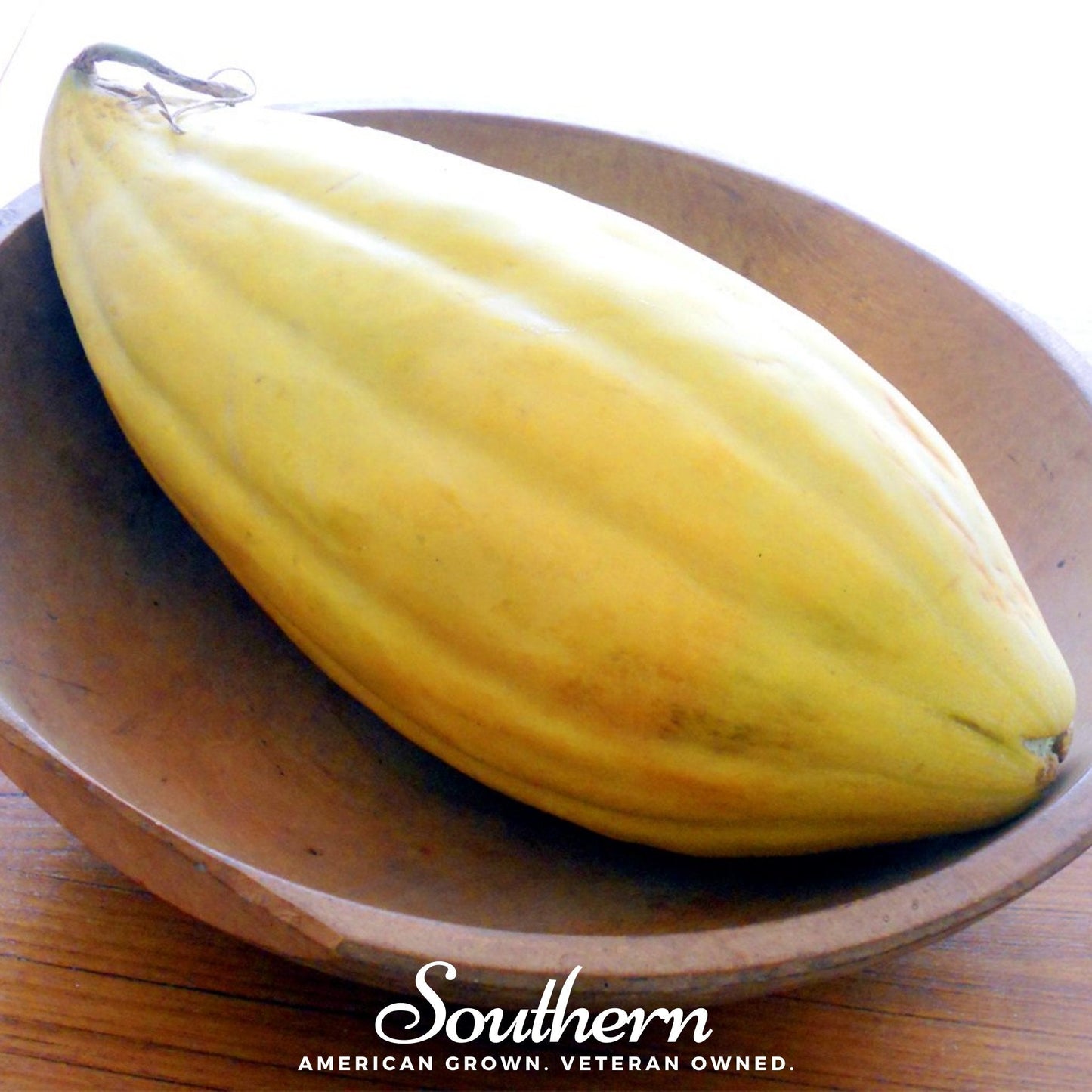 Banana Melon Seeds – Heirloom Non-GMO Open Pollinated Cucumis melo ‘Banana Melon’ Fruit Seeds