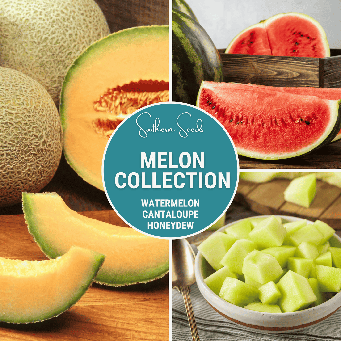 Melon Seed Collection Watermelon Cantaloupe Honeydew Heirloom Non-GMO Seeds for Garden Growth