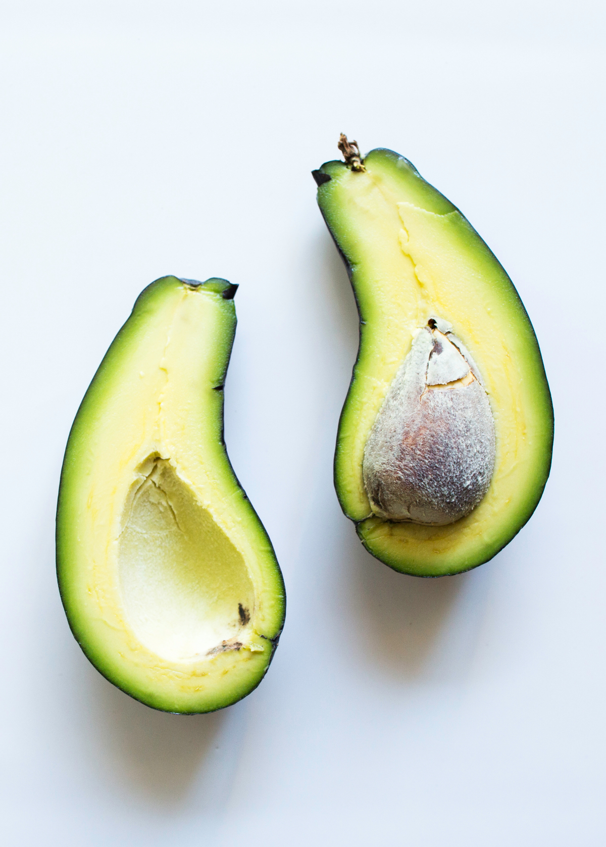 Avocado Mexicola (Persea americana) Cold-Hardy, Edible Skin, Compact Tree, Heirloom Variety