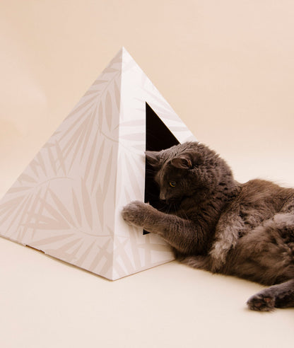 Neutral Palm Cardboard Cat Pyramid