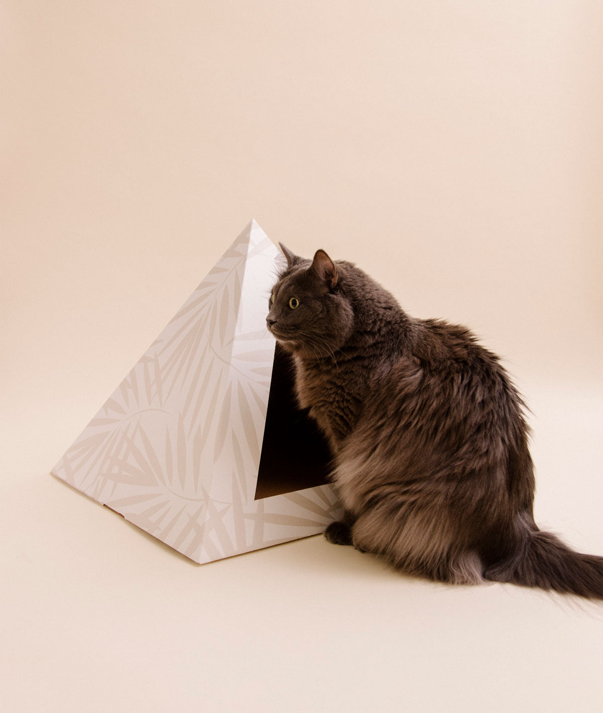 Neutral Palm Cardboard Cat Pyramid