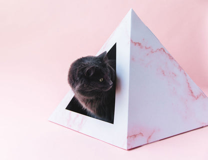 Rose Quartz Cardboard Cat Pyramid