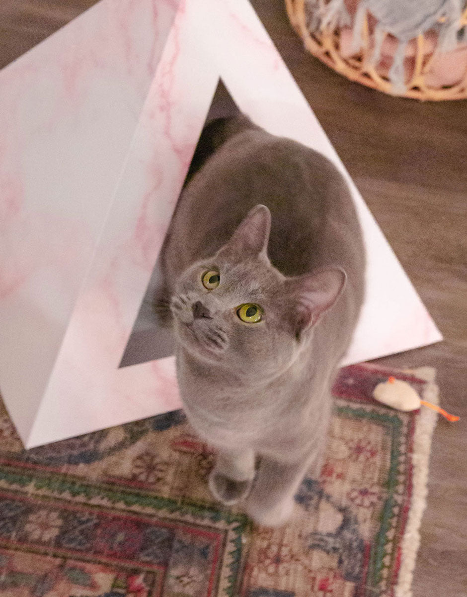 Rose Quartz Cardboard Cat Pyramid