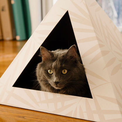 Neutral Palm Cardboard Cat Pyramid