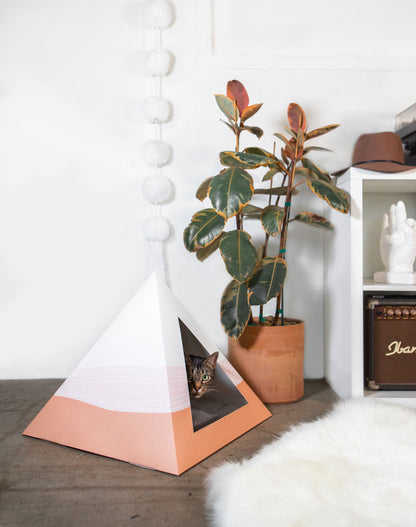 Wavey Cardboard Cat Pyramid