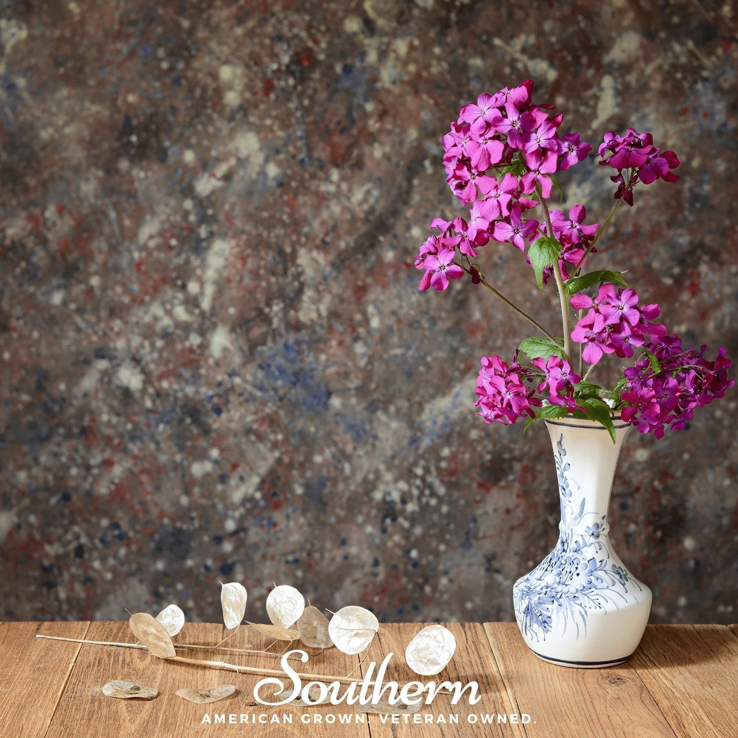 Money Plant Seeds – Lunaria Annua Heirloom, Dried Flower Pods, Purple & White Blooms, Easy to Grow, Pollinator Friendly, 20 Seeds