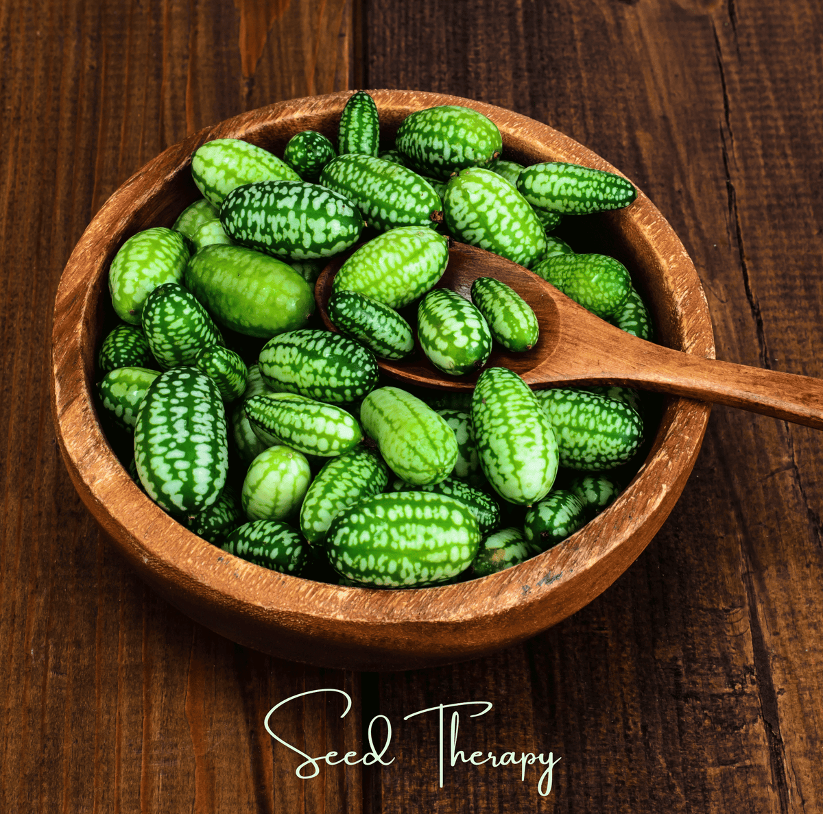 Mouse Melon Seeds – Heirloom Cucamelon Grape-sized Fruit, Mexican Sour Gherkin, Melothria scabra, 10 Seeds