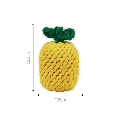 Monli Large Pineapple Rope Toy-3