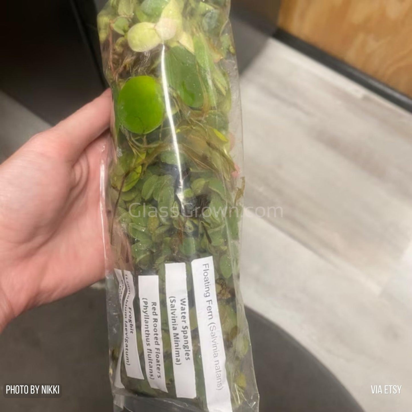 One Cup of Mixed Floaters