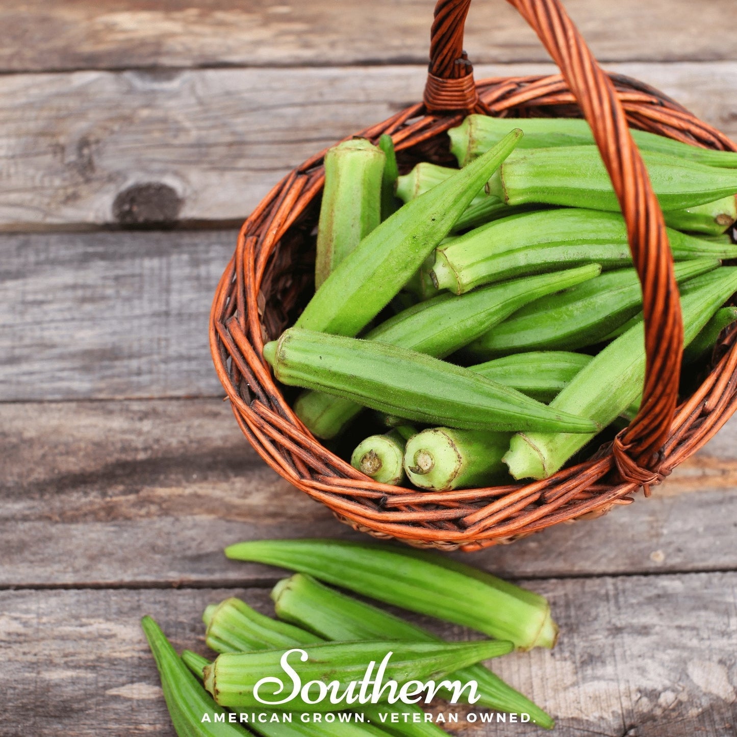 Clemson Spineless Okra Seeds – Heirloom, Non-GMO, 50 Seeds for Southern Cooking, Heat-Tolerant, Open Pollinated Abelmoschus esculentus