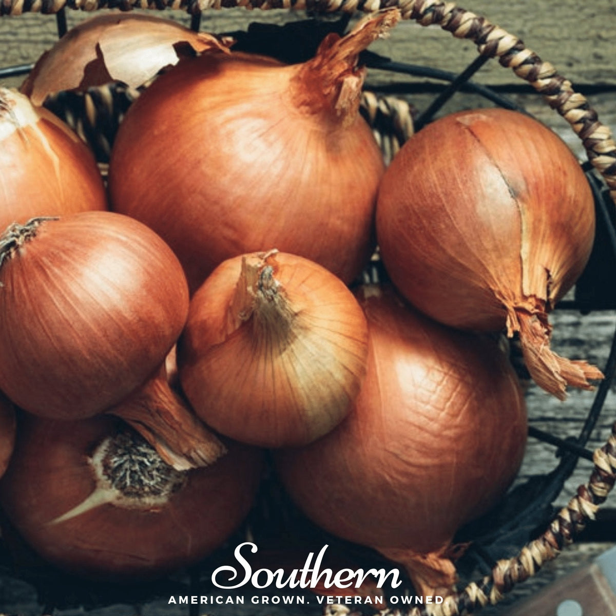 Spanish Yellow Sweet Onion Seeds – 200 Heirloom, Open Pollinated, Non-GMO, Texas Early Grano Allium Cepa