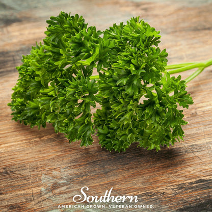 Evergreen Parsley – 200 Seeds