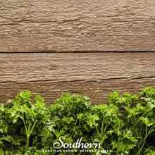 Triple Curled Parsley – 200 Seeds