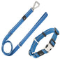 Pet Life ® 'Advent' Outdoor Series 3M Reflective 2-in-1 Durable Martingale Training Dog Leash and Collar