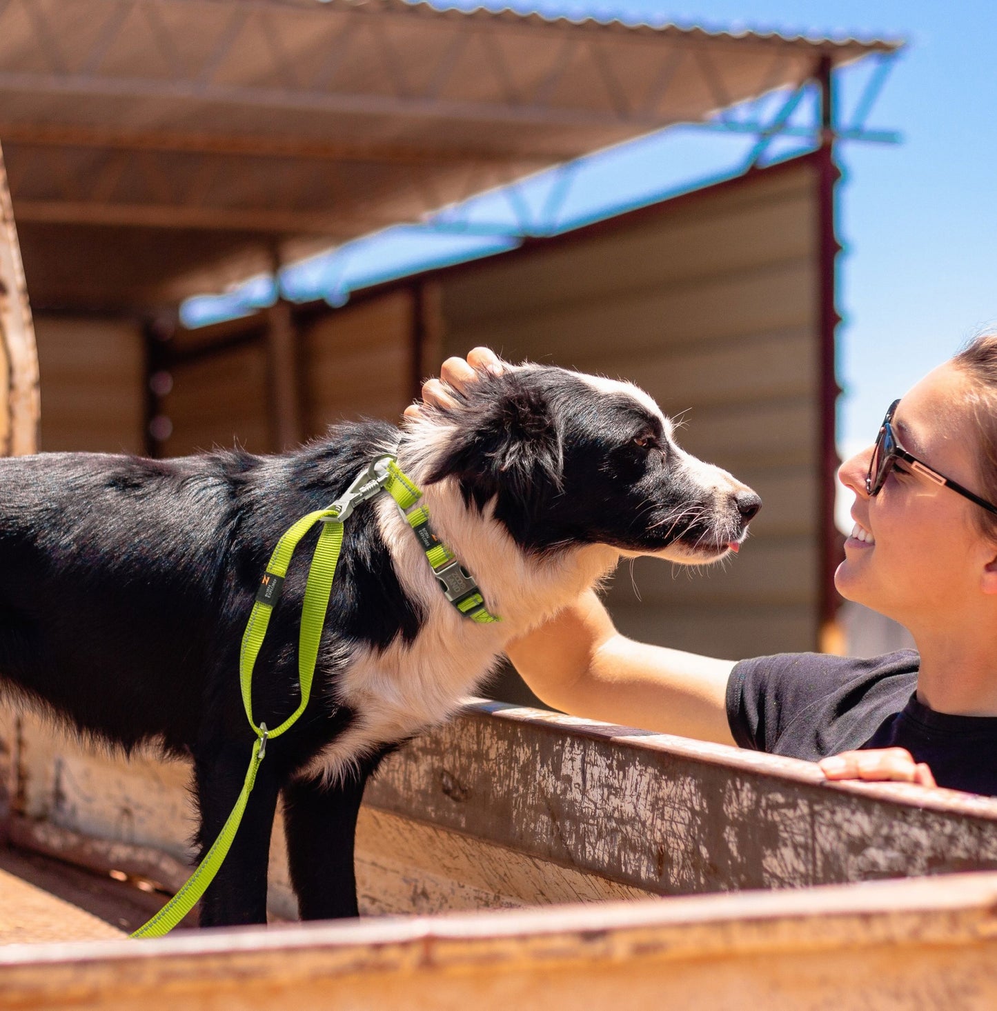 Pet Life ® 'Advent' Outdoor Series 3M Reflective 2-in-1 Durable Martingale Training Dog Leash and Collar