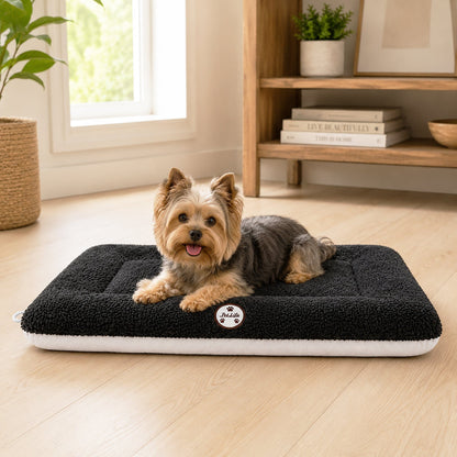 Pet Life ® 'Eco-Paw' Reversible Eco-Friendly Recyclabled Polyfill Fashion Designer Pet Dog Bed Mat Lounge