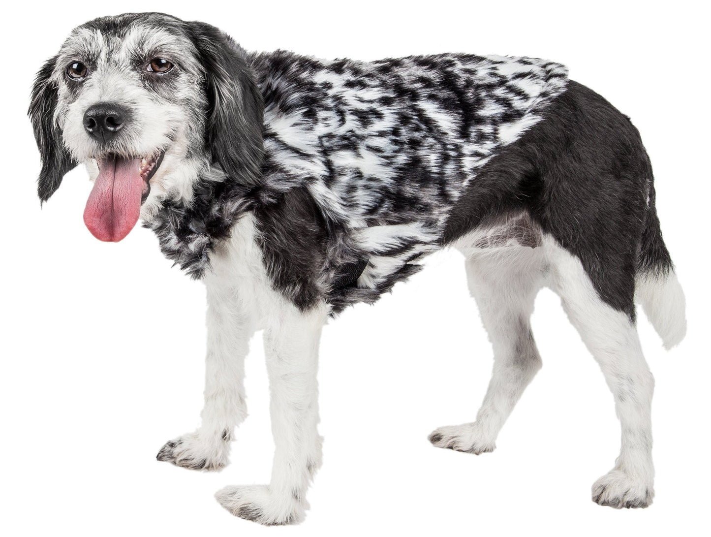 Pet Life ® Luxe 'Paw Dropping' designer gray-scale tiger pattern mink fur dog coat with faux-fur collar and hook-and-loop belly enclosures