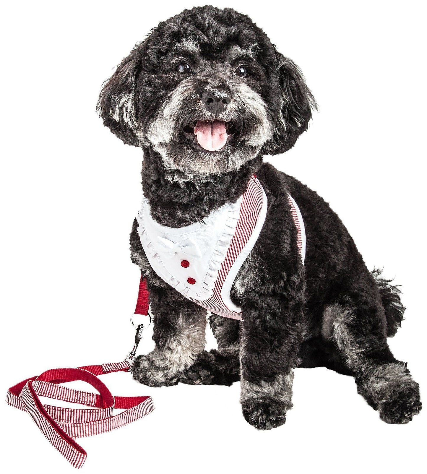 Pet Life ® Luxe 'Spawling' 2-In-1 Adjustable Fashion Dog Harness and Leash