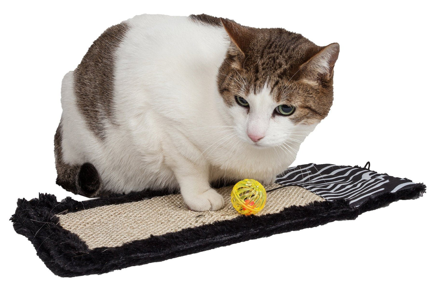 Pet Life ® Scrape Away Sisal And Jute Hanging Carpet Cat Scratcher Toy